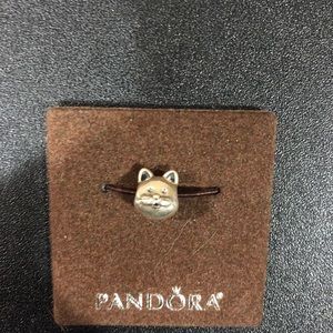 cat charm